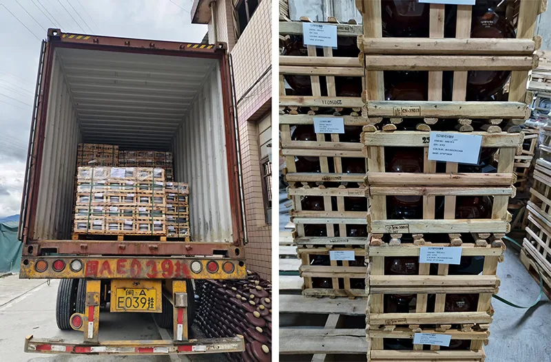 Sarah Electric Shipment